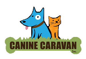 canine caravan dog walking ottawa